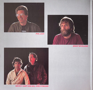 Grateful Dead, The - In The Dark - 1987