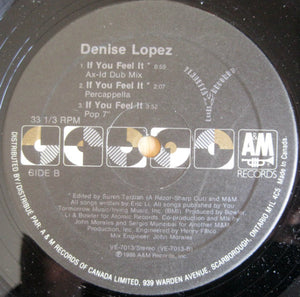 Denise Lopez - If You Feel It - 1988