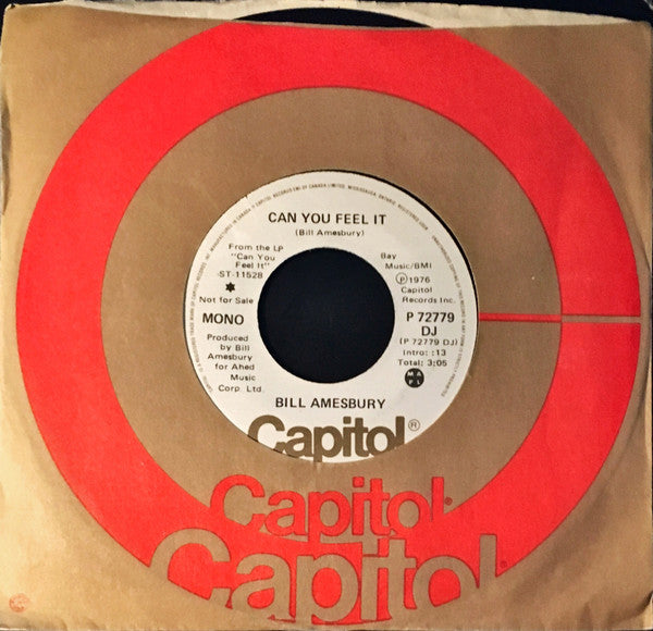 Bill Amesbury - Can You Feel It - 1976