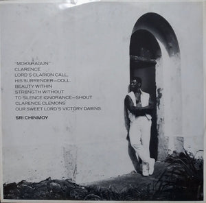 Clarence Clemons - Hero