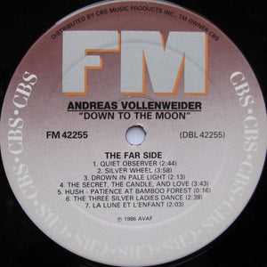 Andreas Vollenweider - Down To The Moon - 1986