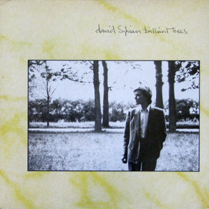 David Sylvian - Brilliant Trees - 1984