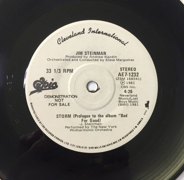 Jim Steinman - Storm / Rock And Roll Dreams Come Through