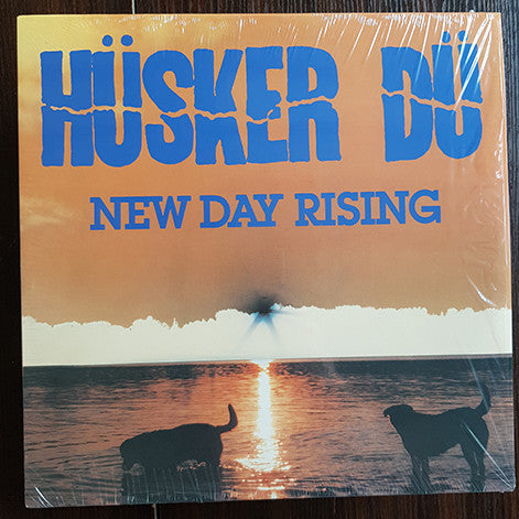 Hüsker Dü - New Day Rising -