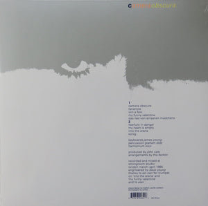 Nico (3) - Camera Obscura