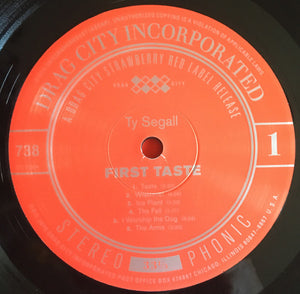 Ty Segall - First Taste - 2019
