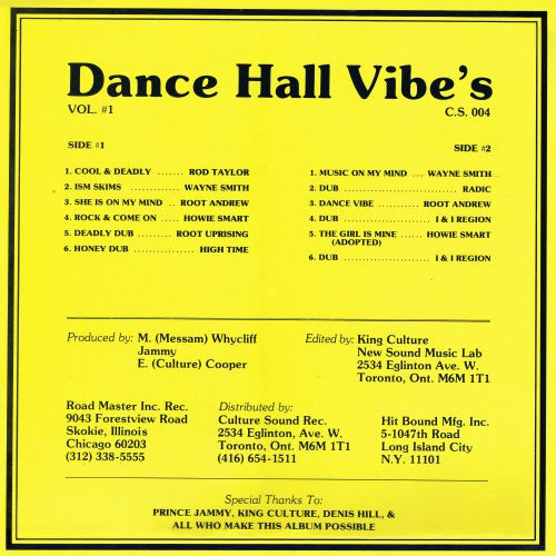 Various - Dance Hall Vibe's Vol.#1 -
