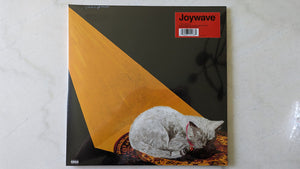 Joywave - Permanent Pleasure Vinyl Record