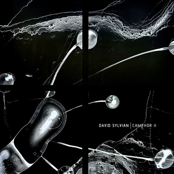 David Sylvian - Camphor II - 2025