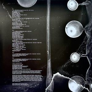 David Sylvian - Camphor II - 2025