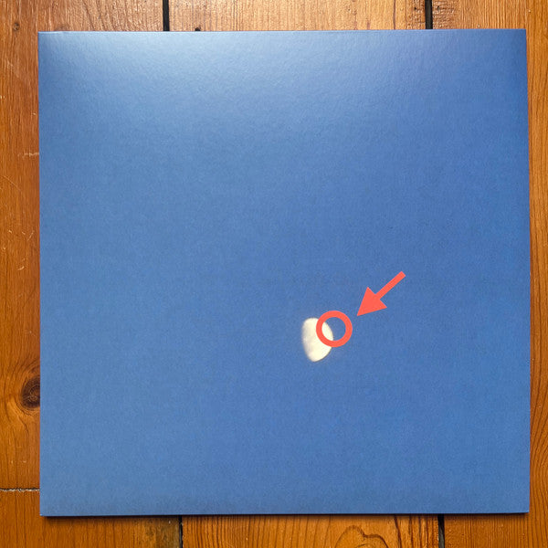 Cleopatrick - Fake Moon