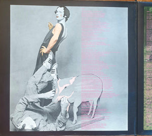 Bonzo Dog Band - The Doughnut In Granny's Greenhouse Vinyl Record