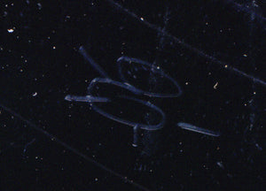 Cat Stevens - Izitso - 1977