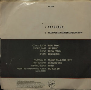 The Northern Pikes - Teenland