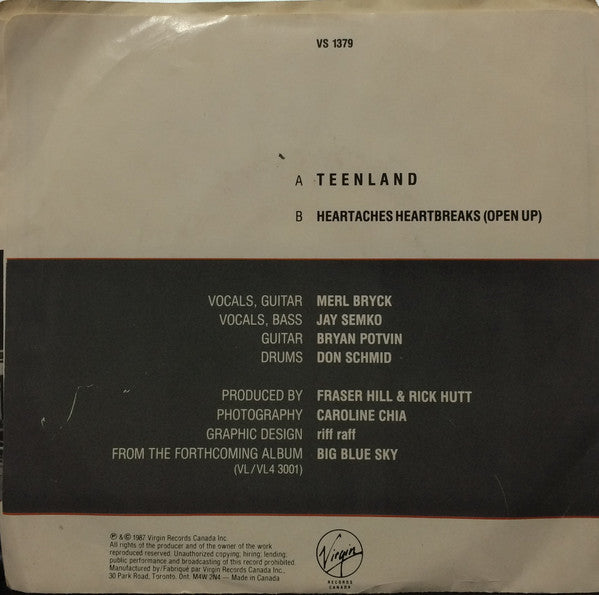 The Northern Pikes - Teenland
