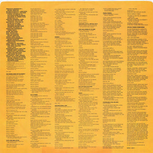 Donna Summer - She Works Hard For The Money - 1983