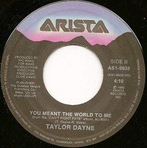 Taylor Dayne - Love Will Lead You Back - 1990