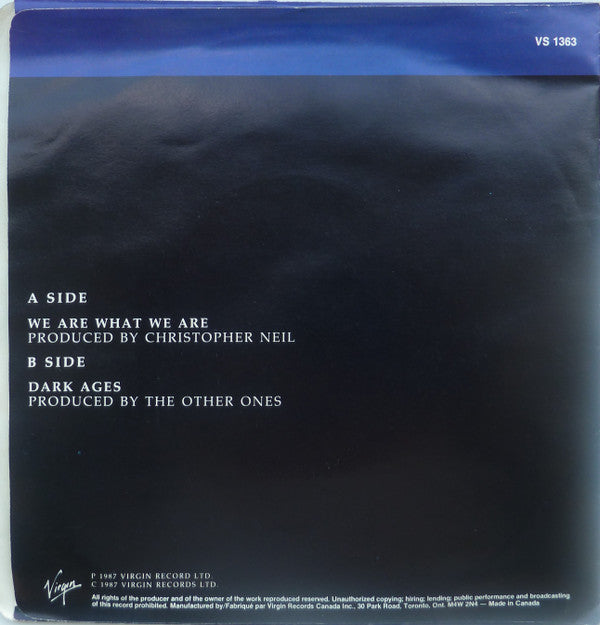 The Other Ones - We Are What We Are