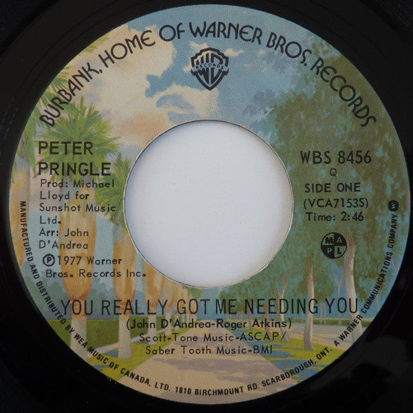 Peter Pringle - You Really Got Me Needing You - 1977