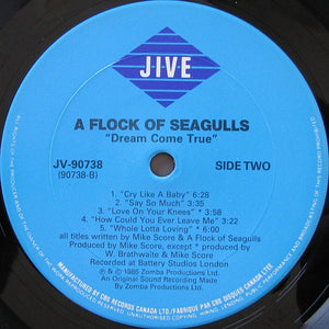 A Flock Of Seagulls - Dream Come True