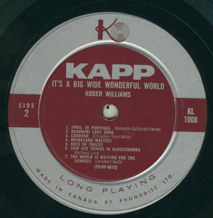 Roger Williams (2) - It's A Big Wide Wonderful World