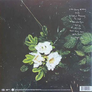 Maggie Rogers - Don't Forget Me Vinyl Record