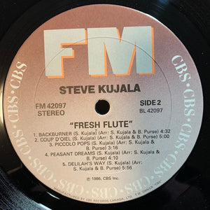 Steve Kujala - Fresh Flute