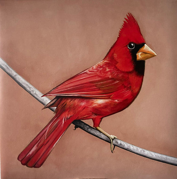 Alexisonfire - Old Crows / Young Cardinals