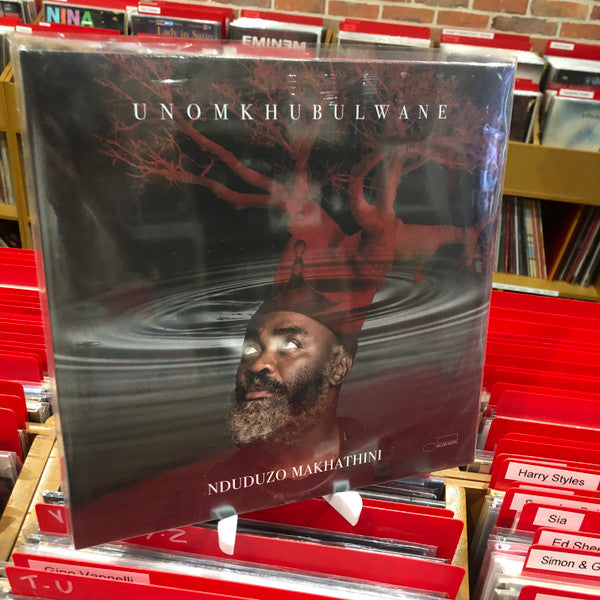 Nduduzo Makhathini - Unomkhubulwane