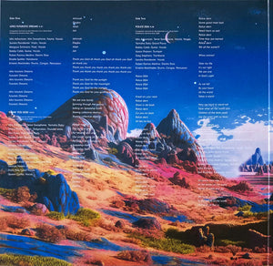 Idris Ackamoor - Afro Futuristic Dreams Vinyl Record