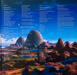 Idris Ackamoor - Afro Futuristic Dreams Vinyl Record