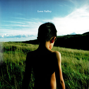 Michael Bernard Fitzgerald - Love Valley