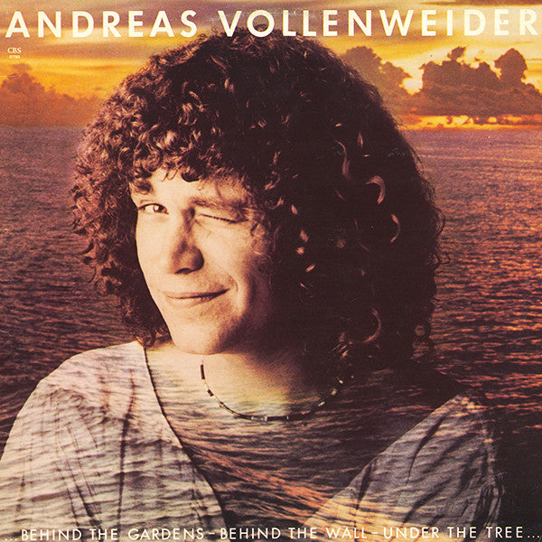Andreas Vollenweider - ... Behind The Gardens - Behind The Wall - Under The Tree ... - 1982