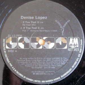 Denise Lopez - If You Feel It - 1988