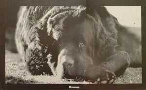 Jefferson Airplane - Crown Of Creation - 1968