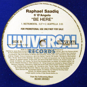 Raphael Saadiq - Be Here