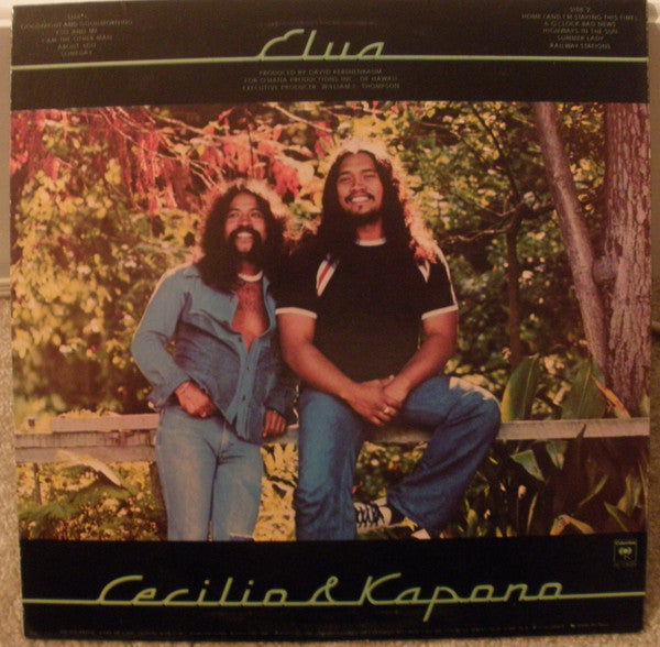 Cecilio & Kapono - Elua Vinyl Record