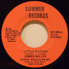 Earth, Roots & Water - Little Sixteen