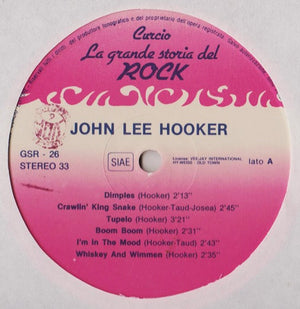 John Lee Hooker / Sonny Terry & Brownie McGhee - John Lee Hooker / Brownie McGhee And Sonny Terry - 1981
