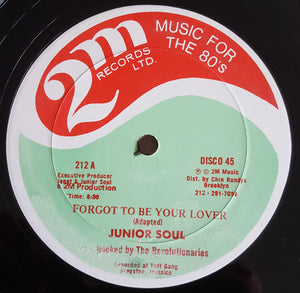 Junior Soul - Forgot To Be Your Lover