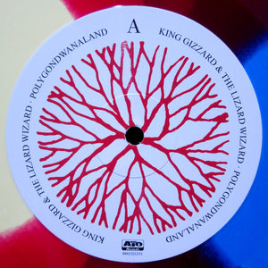King Gizzard And The Lizard Wizard - Polygondwanaland