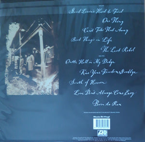 Lynyrd Skynyrd - The Last Rebel - 2024