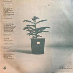 Leo Kottke - Chewing Pine -