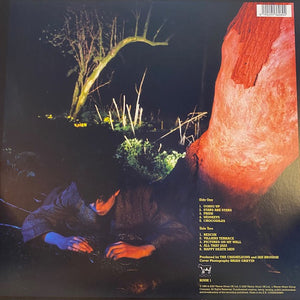 Echo & The Bunnymen - Crocodiles - 2021