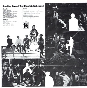 Chocolate Watchband, The - One Step Beyond - 2012