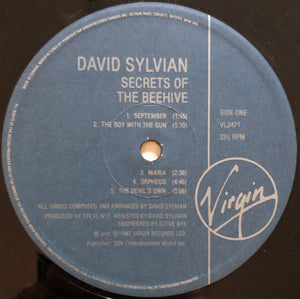 David Sylvian - Secrets Of The Beehive - 1987