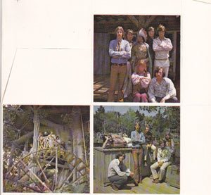 The Bells - Love, Luck N' Lollipops Vinyl Record