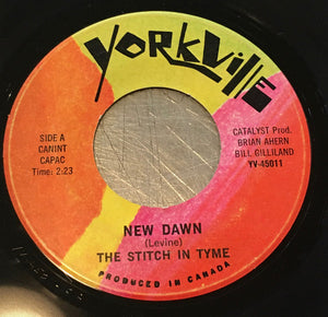 The Stitch In Tyme - New Dawn / Don't Make Promises Vinyl Record