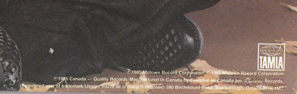 Stevie Wonder - In Square Circle - 1985