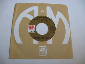 Stealers Wheel - Star / What More Could You Want